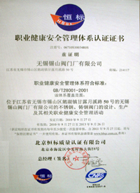 GBT28001職業健(jian)康安全管理體