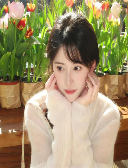 影院同步：高枝难攀系列作品比较：各部特点与优劣分析